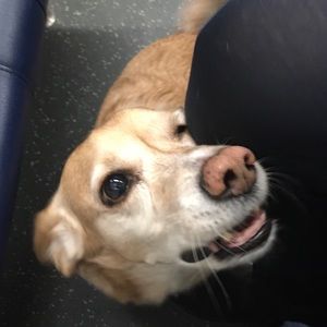 Meet your Posher, Chung-ting